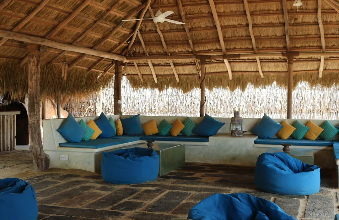 Dolphin Beach Resort - Dolphins, Kitesurfing & Wildlife-1